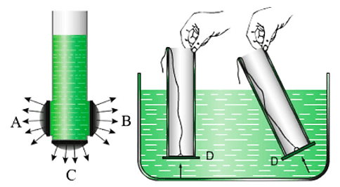 Bài 16: Áp suất chất lỏng – Áp suất khí quyển